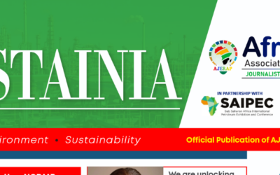 SEEPCO’s African Story: From Energy Investment to Sustainable Impact