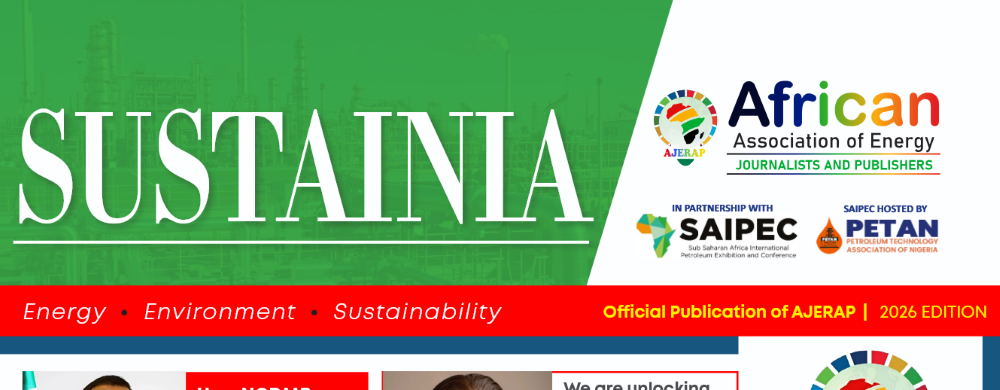 SEEPCO’s African Story: From Energy Investment to Sustainable Impact