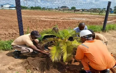 SEEPCO’s Sustainability Journey Recognized in Environment Africa Report