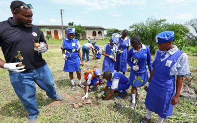 Grow Green Initiative: VCDF and Sterling Oil Plant Trees in Lagos